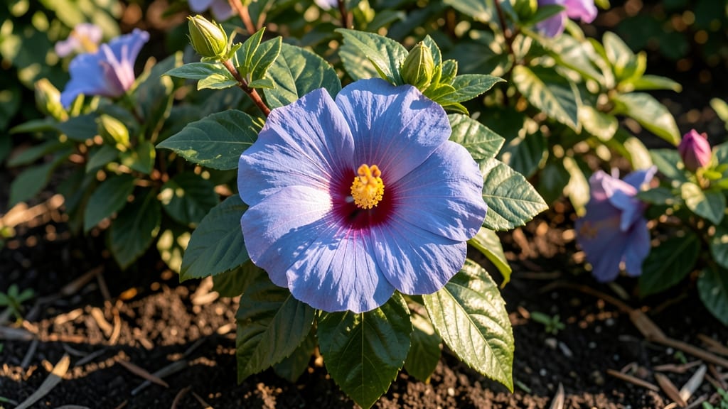 Biggest Hibiscus Flowers: How to Grow Towering Varieties With Minimal Support